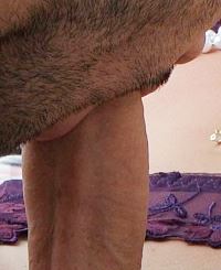 Shemale cock