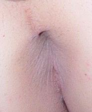 Big tranny tits