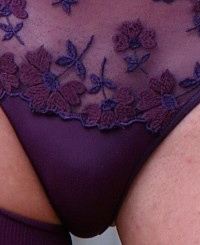 Hung Trans